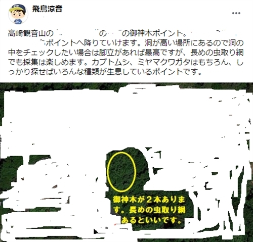 カブトムシハンター倶楽部