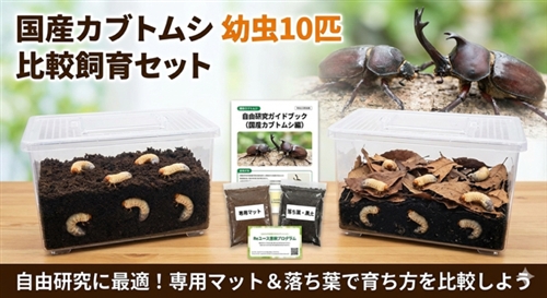 カブトムシReユース里親牧場 オフィシャルサイト