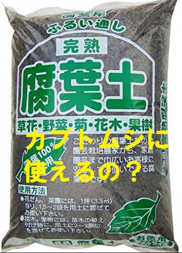 カブトムシ幼虫マットは腐葉土ではダメ
