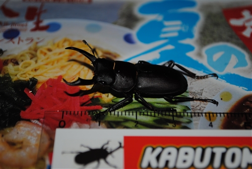 uOvol.281`290