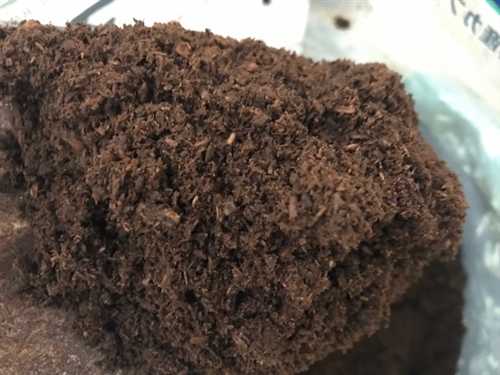 カブトムシの幼虫飼育方法。最強のマットはこれだ