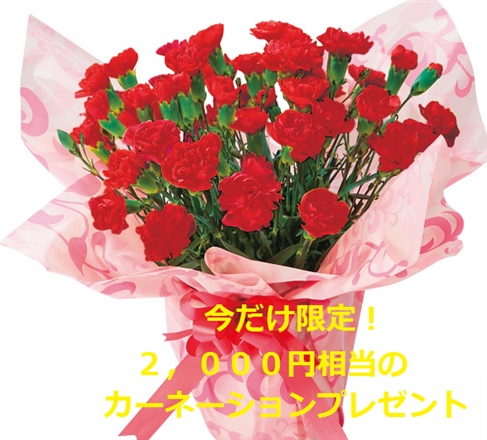 uOvol.371`380