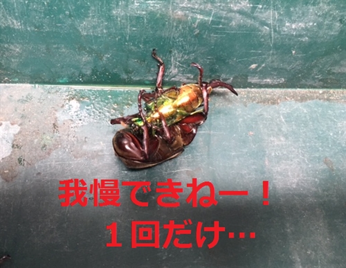 uOvol.471`480