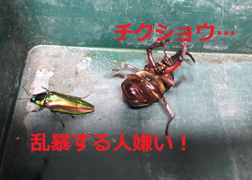 uOvol.471`480