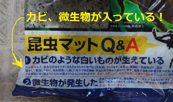 uOvol.11`20