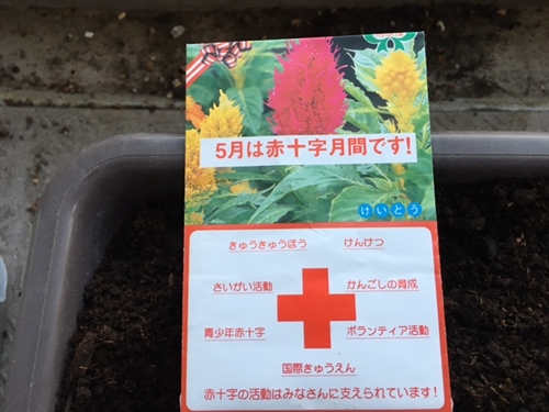 ̂wNXIIJug L
