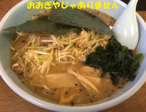 栃木県のオオクワガタ採集とラーメンショップ