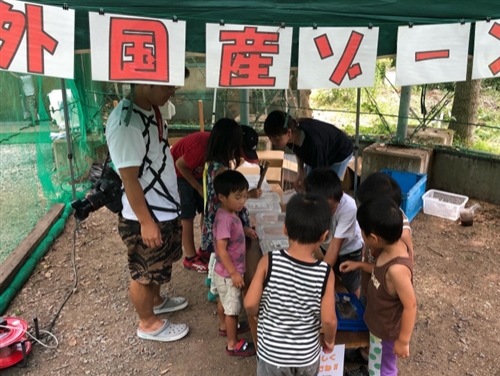 和歌山のカブトムシ、クワガタ採集ポイント