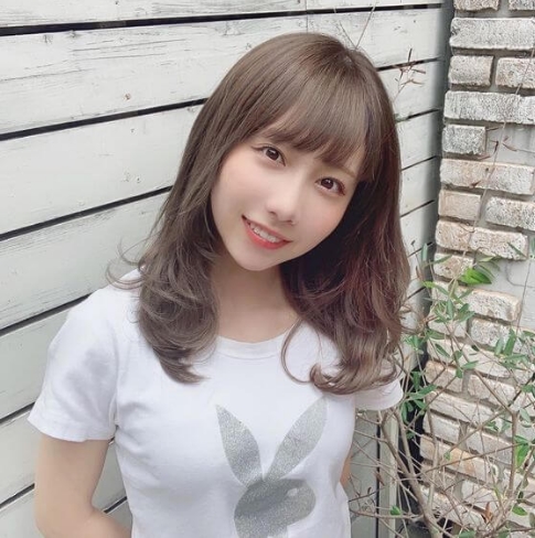 秋田県の森林学習交流館プラザクリプトンでカブトムシ・クワガタ採集