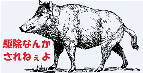 イノシシ対策・柵・匂い・光・罠・効果