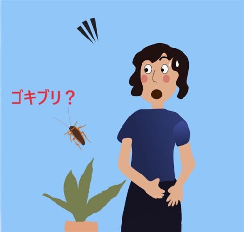 カブトムシとクワガタの卵をゴキブリに食われました!