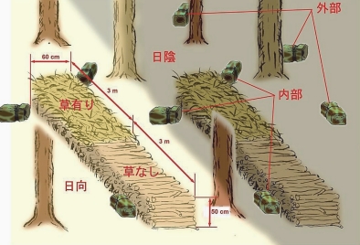 皇居のカブトムシ・クワガタ採集結果