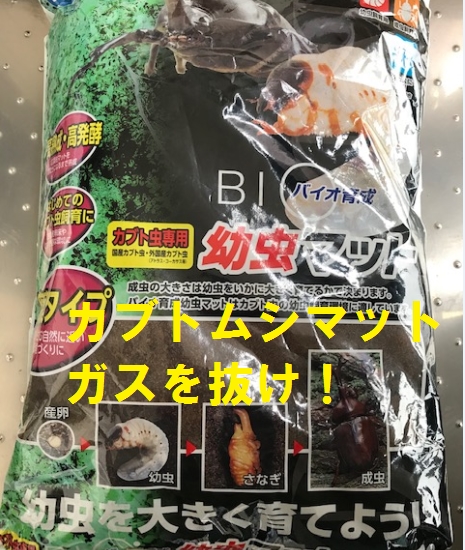 カブトムシマットガス抜き、加水は必要?