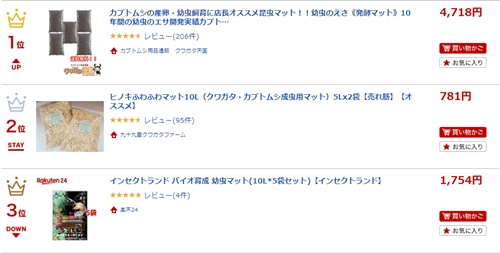 カブトムシが卵産んだら?