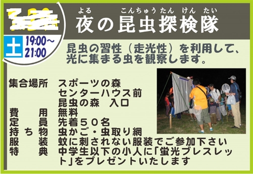 ミヤマクワガタ・カブトムシ採集 埼玉