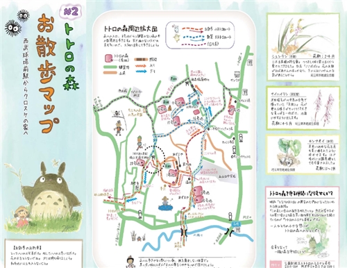 カブトムシ採集は東京の狭山丘陵トトロの森、野山北・六道山公園で!