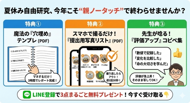 カブトムシで「自由研究を自動化する」方法