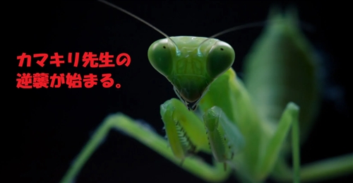 香川照之─ 新たな章への一歩。昆虫と使命、再出発の決意