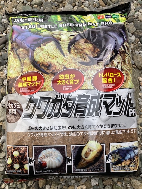 クワガタマットのおすすめは?