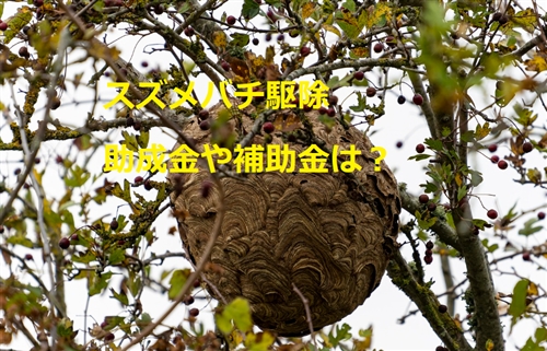 スズメバチ駆除 補助金