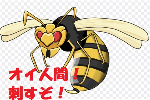スズメバチ駆除は自分でやらない