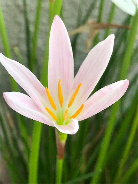 ブログvol.1011〜