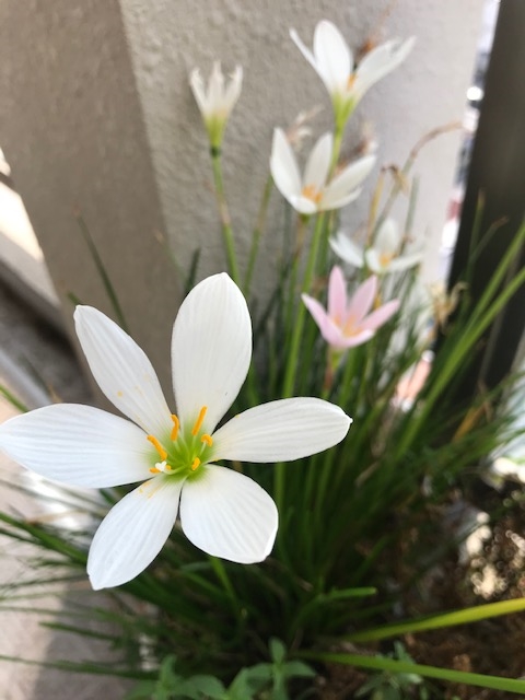 ブログvol.1011〜