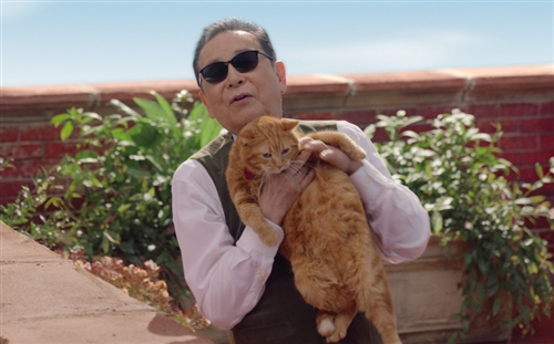 福岡県のカブトムシ、クワガタ採集ポイント