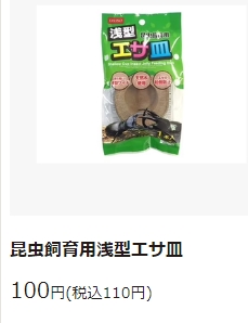カブトムシの育て方 100均ダイソー編