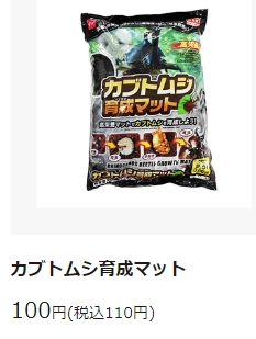 カブトムシの育て方 100均ダイソー編