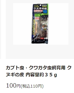 カブトムシの育て方 100均ダイソー編
