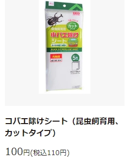カブトムシの育て方 100均ダイソー編