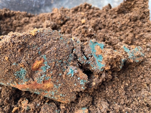 カブトムシ幼虫マットはダイソーがおススメ!?