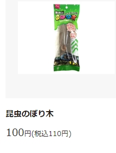カブトムシの育て方 100均ダイソー編