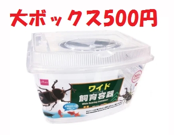 カブトムシ飼育ケースおすすめ人気ランキング