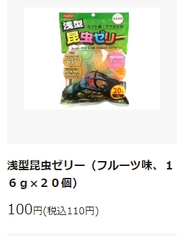 カブトムシの育て方 100均ダイソー編