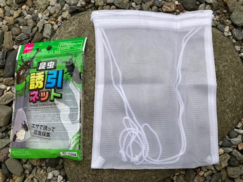 カブトムシを捕まえる方法(罠)トラップ編