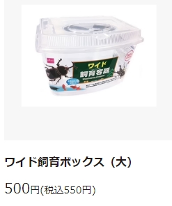 カブトムシの育て方 100均ダイソー編