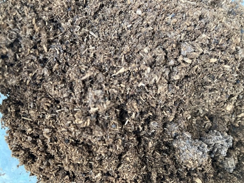 カブトムシ幼虫マットはダイソーがおススメ!?