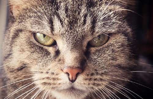 バカ親子との喧嘩