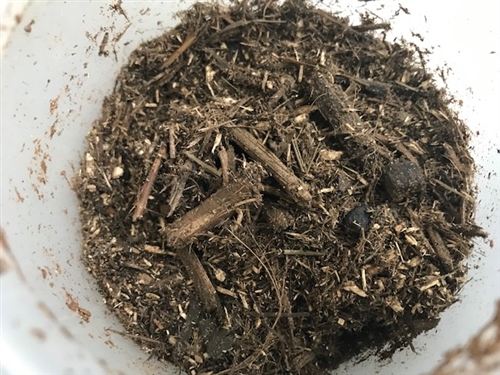 ブログvol.951〜960