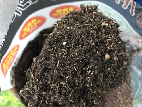 カブトムシの幼虫飼育方法。最強のマットはこれだ