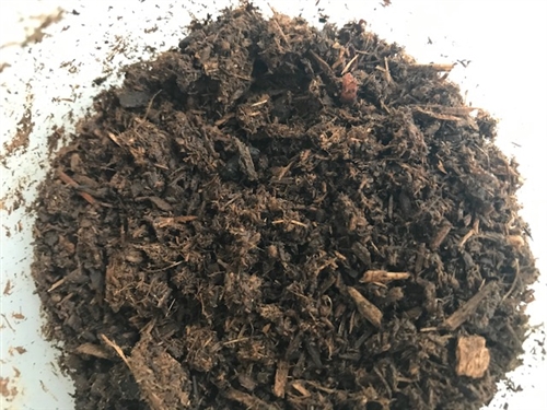 ブログvol.951〜960