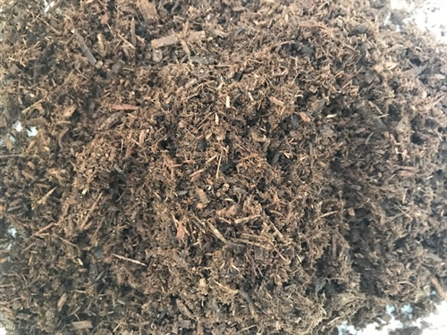 カブトムシの幼虫飼育方法。最強のマットはこれだ