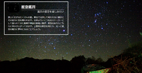 オオクワガタの材割採集。群馬県と埼玉県