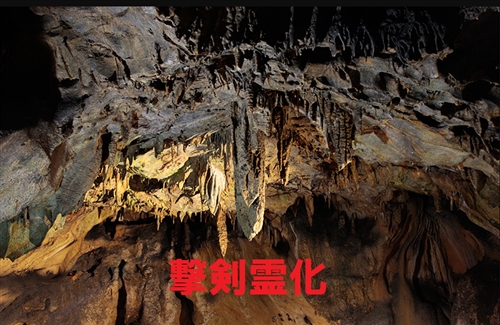 オオクワガタの材割採集。群馬県と埼玉県