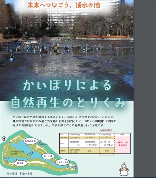 東京都の井の頭公園でカブトムシとクワガタ採集