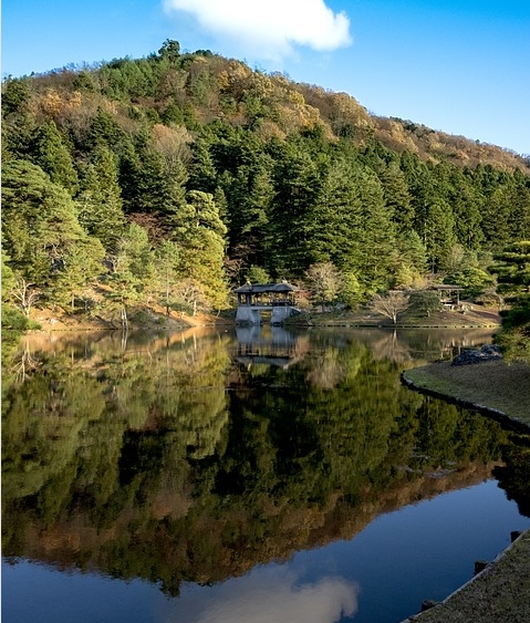 京都のオオクワガタポイントとカブトムシ採集