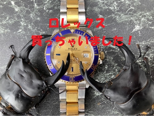 カブトムシ飼育ケースおすすめ人気ランキング