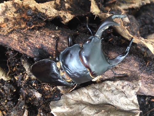 ブログvol.751〜760